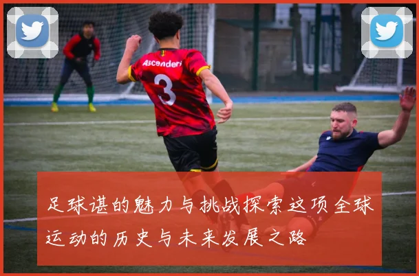 足球谌的魅力与挑战探索这项全球运动的历史与未来发展之路