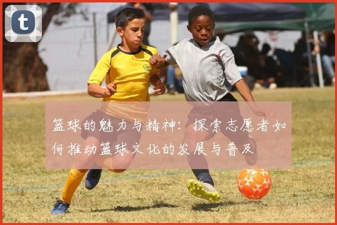 篮球的魅力与精神：探索志愿者如何推动篮球文化的发展与普及