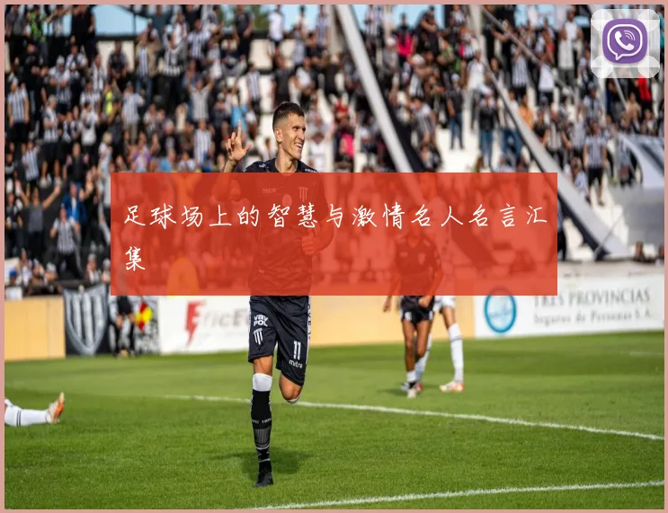 足球场上的智慧与激情名人名言汇集