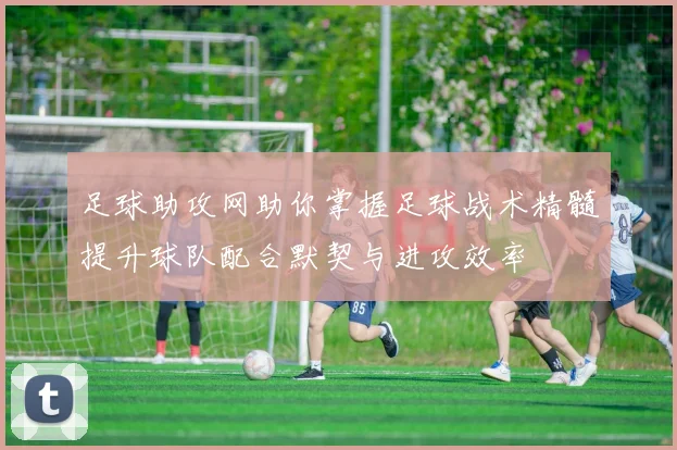 足球助攻网助你掌握足球战术精髓提升球队配合默契与进攻效率