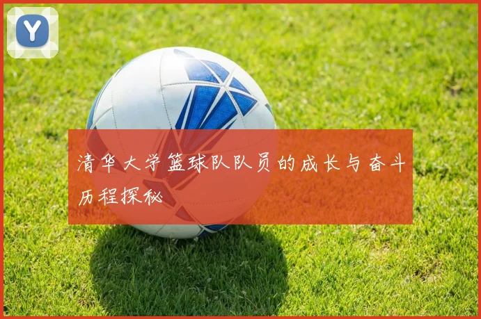 清华大学篮球队队员的成长与奋斗历程探秘